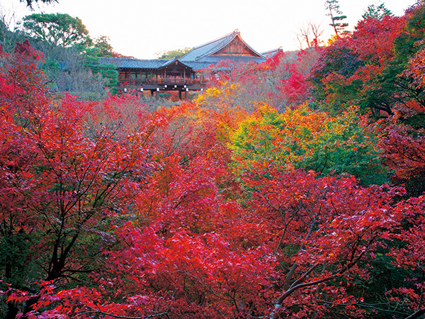 京都で話題の朝ごはん、紅葉と一緒に愛でてみて