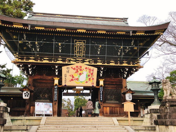 秋はじっくり、京都らしい学びの体験を
