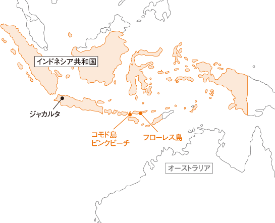 インドネシア共和国 コモド島