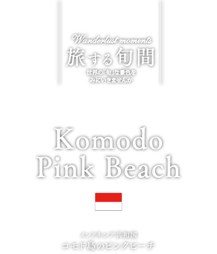 インドネシア共和国 コモド島のピンクビーチ