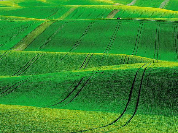 緑の絨毯が波打つチェコの大草原へ