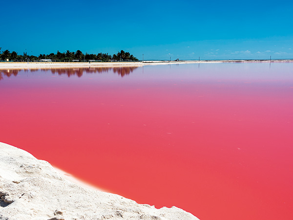 絵の具で塗ったようなビビッドピンクの塩湖