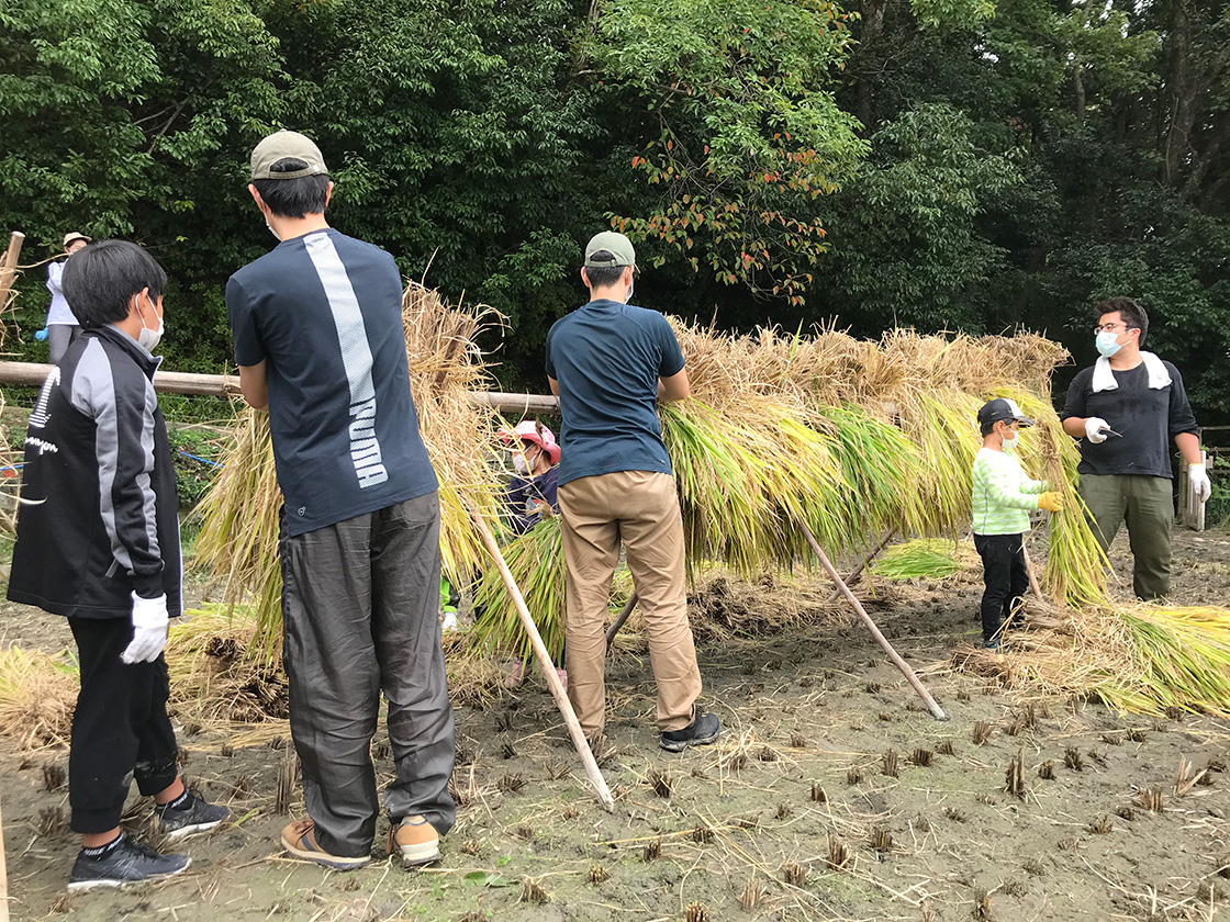 稲刈り＆芋ほり体験「秋の収穫祭」