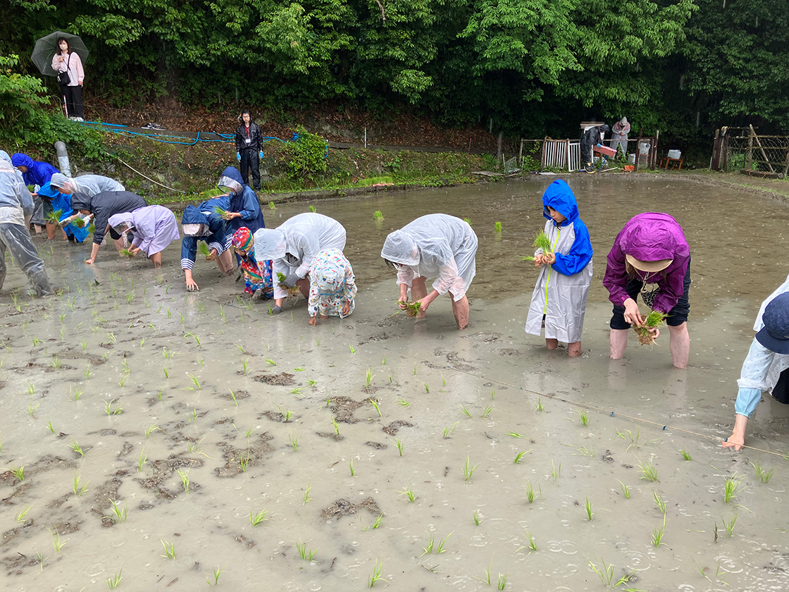 田植え&さつまいもの苗付け体験会2025