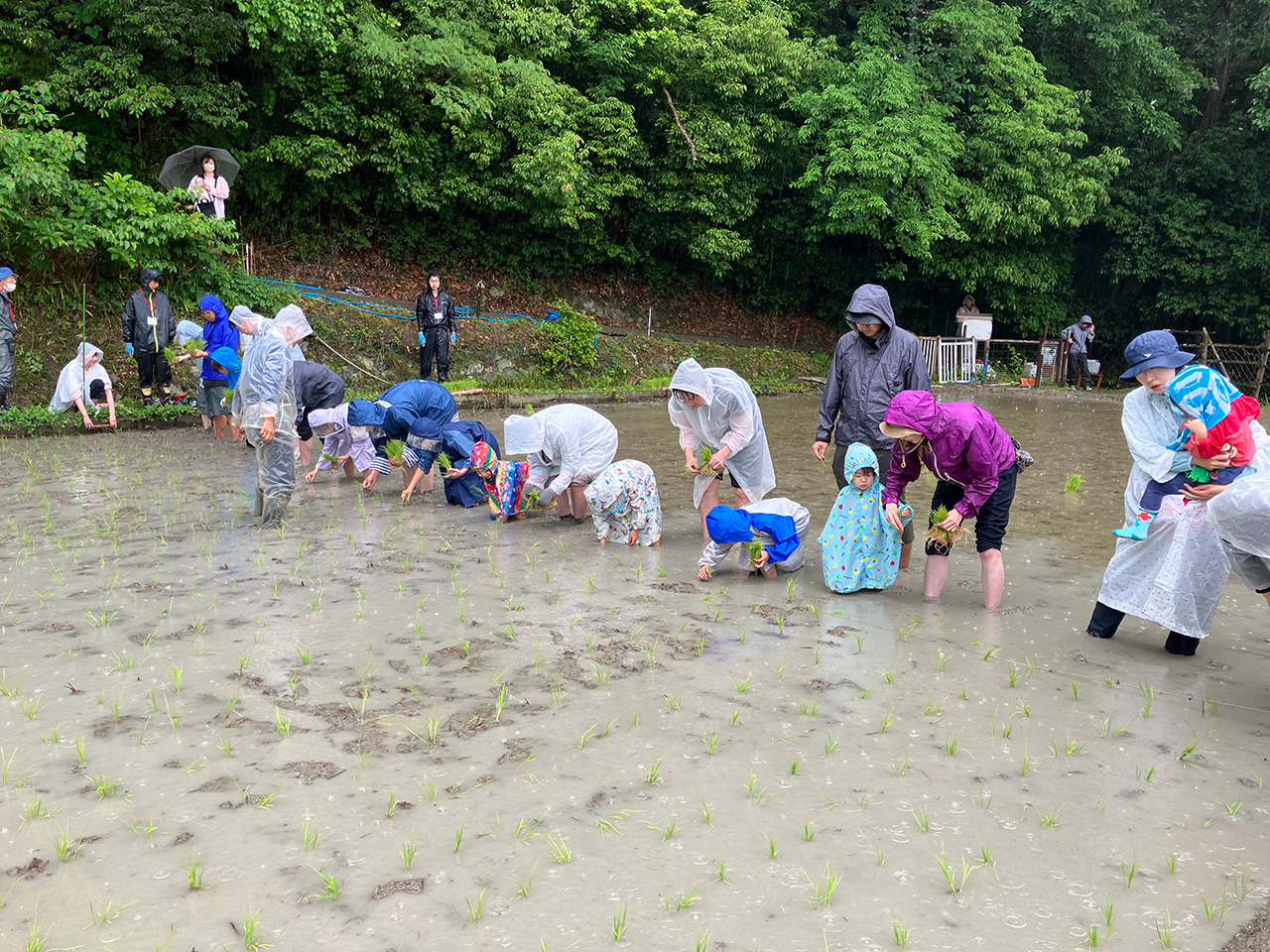 田植え＆さつまいもの苗付け体験会2025