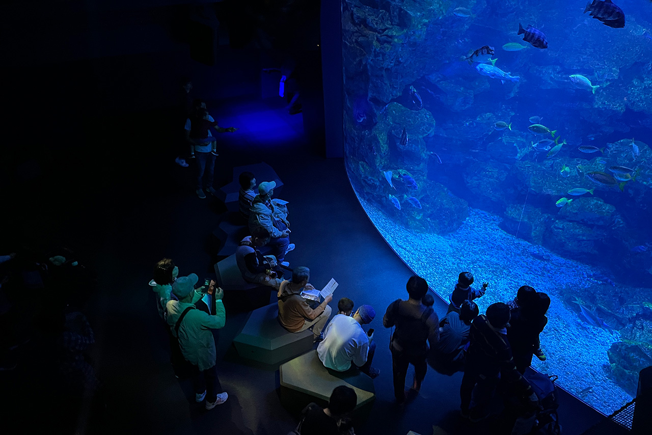 〈ジオ〉ブランド誕生35周年記念「京都水族館貸切イベント」