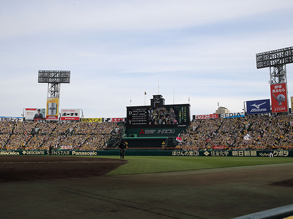 2025年4～6月分 阪神タイガース戦のご感想をいただきました！