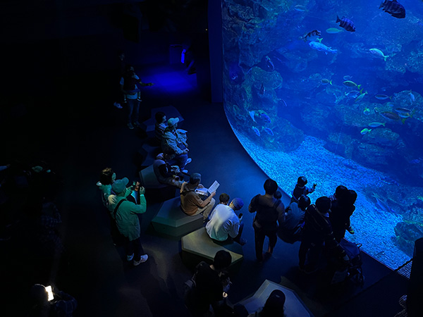 〈ジオ〉ブランド誕生35周年記念「京都水族館貸切イベント」