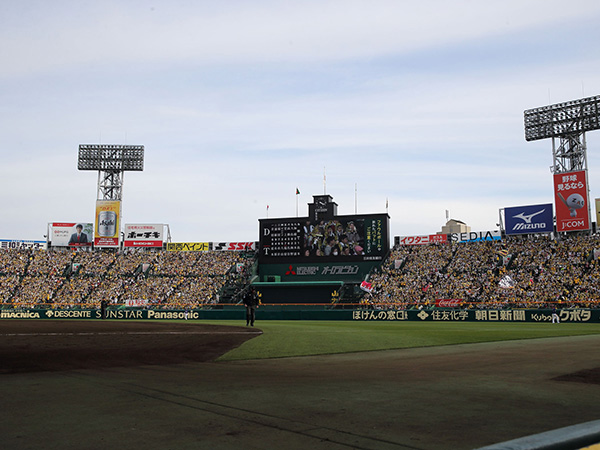 2026年4～6月分 阪神タイガース戦のご感想をいただきました！