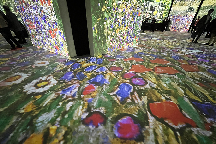 床にまで映し出される映像に圧倒される