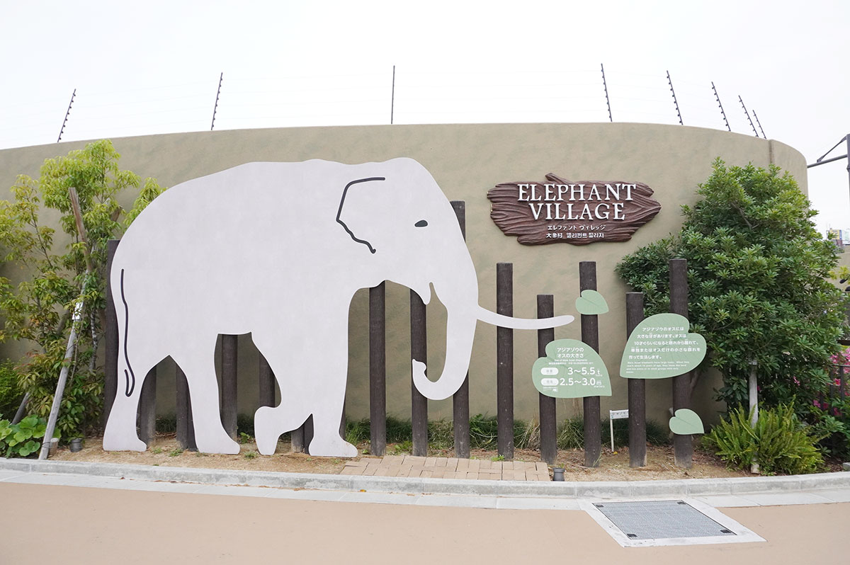 天王寺 動物園 ゾウ